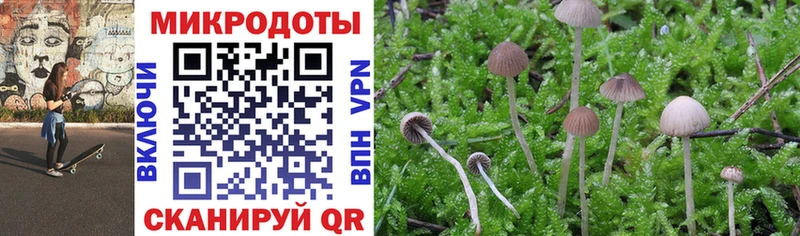 Галлюциногенные грибы Psilocybine cubensis  Бавлы 